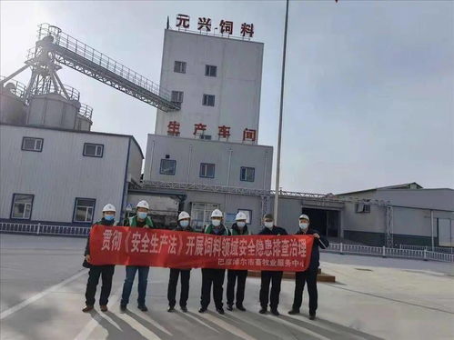 筑牢安全防線，保障市場供應(yīng)——市畜牧業(yè)服務(wù)中心開展春節(jié)前飼料生產(chǎn)企業(yè)安全生產(chǎn)與銷售專項(xiàng)檢查